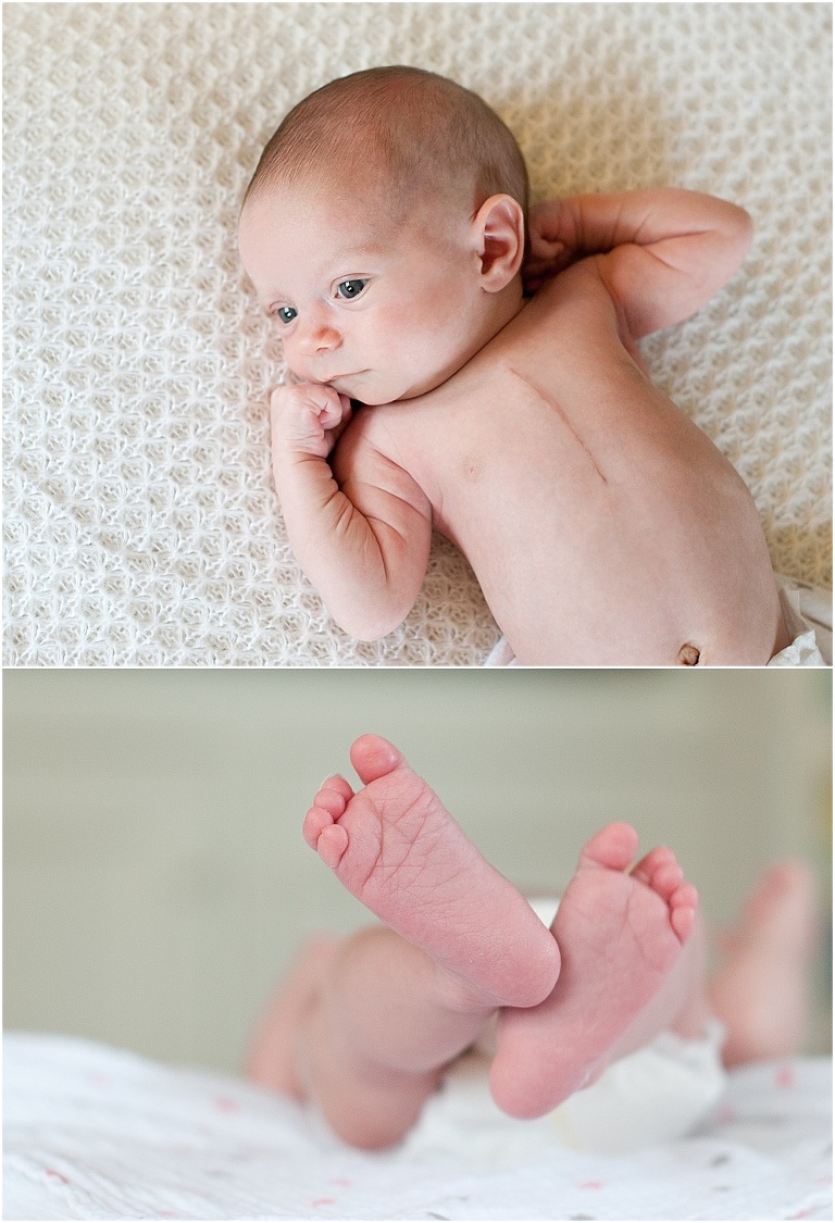 boston baby photographer