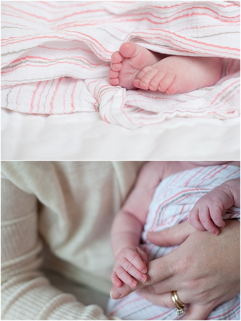 photographer southern nh