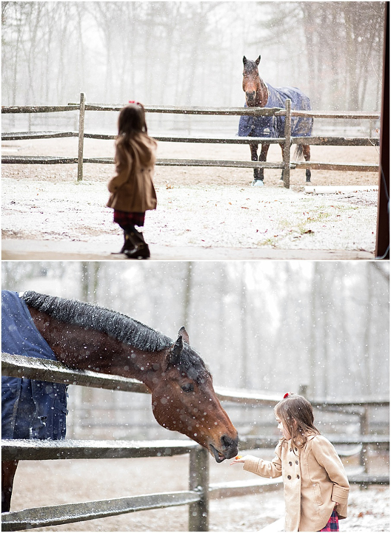 boxford kids photographer-0005