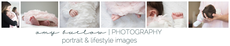 boston's newborn photographer