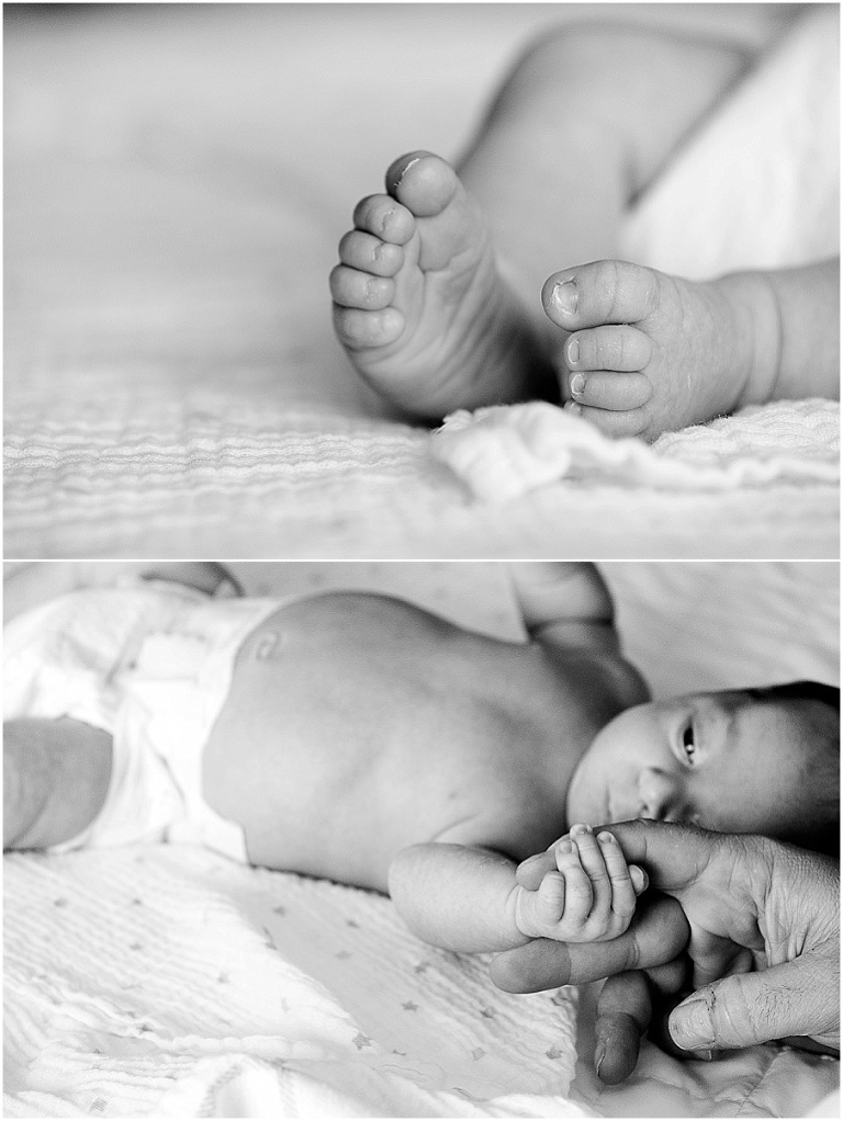 baby photographer southern NH