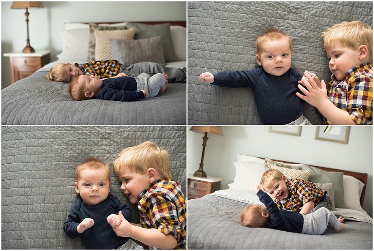 Andover Newborn Photographer