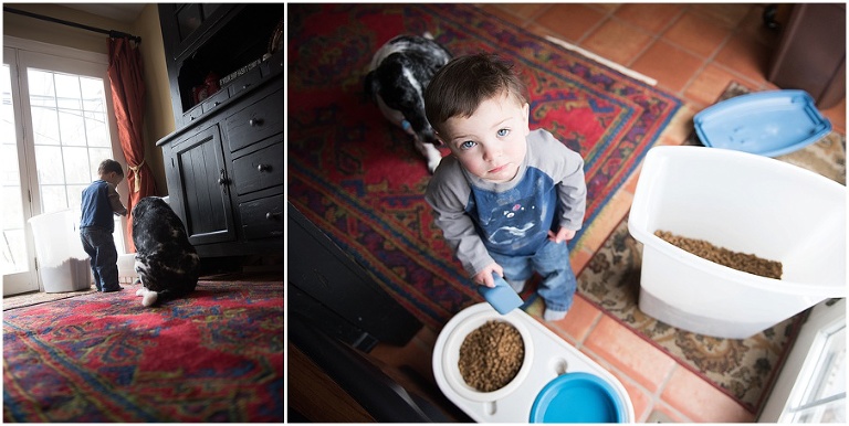 North Andover Family Lifestyle Photographer