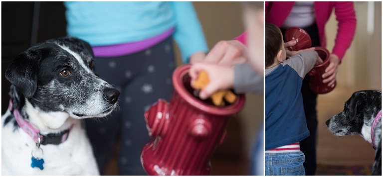 North Andover top family lifestyle photographer_0003