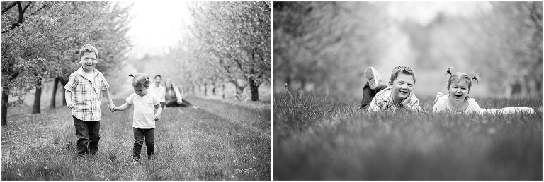 family photographer andover_0002