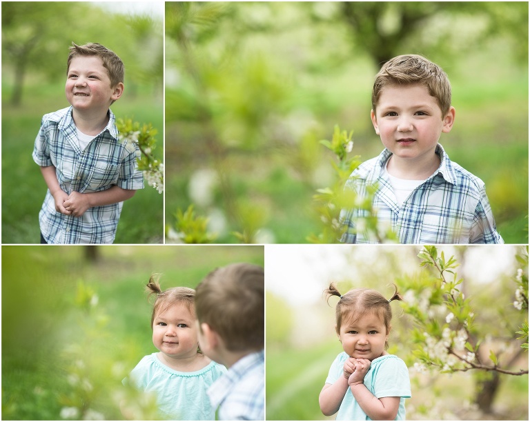 family photographer andover_0003