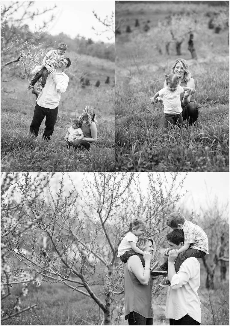family photographer andover_0006