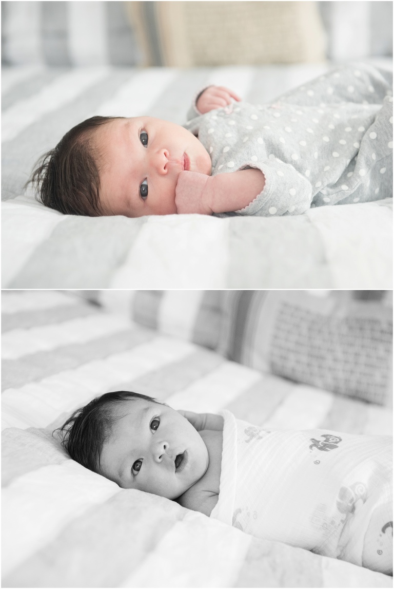 north shore baby photographer_0001