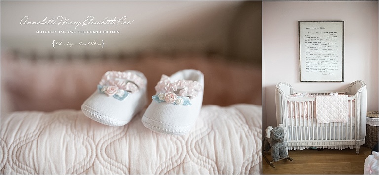 boston, baby, boston skyline view, albums