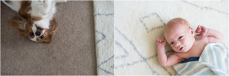 southern new hampshire baby photographer13