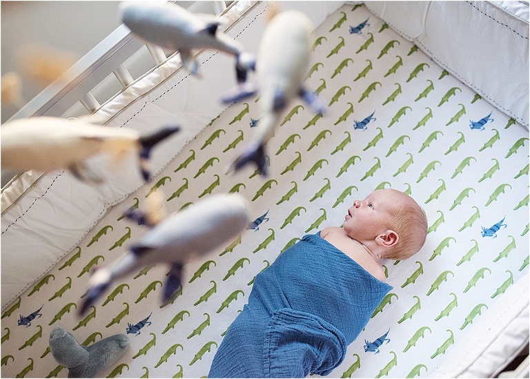 southern new hampshire baby photographer6