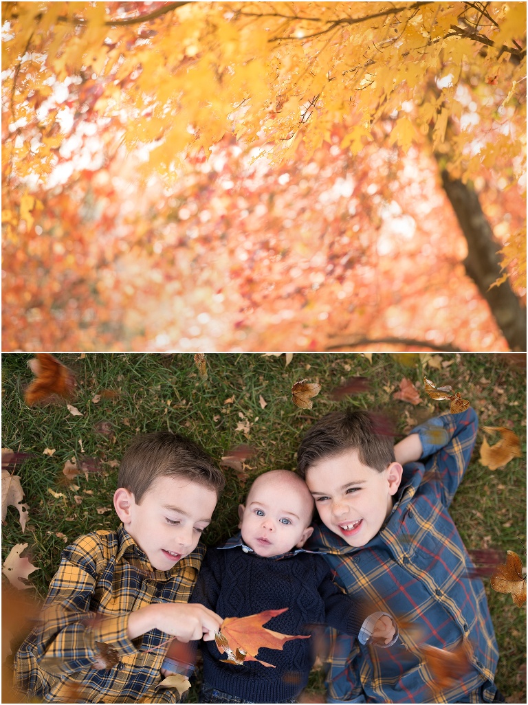 family photographer north andover, stevens coolidge place, trustees of reservation