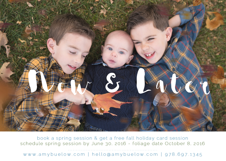 stevens coolidge place, trustees of reservation, spring bookings, spring photography session, photographer north andover