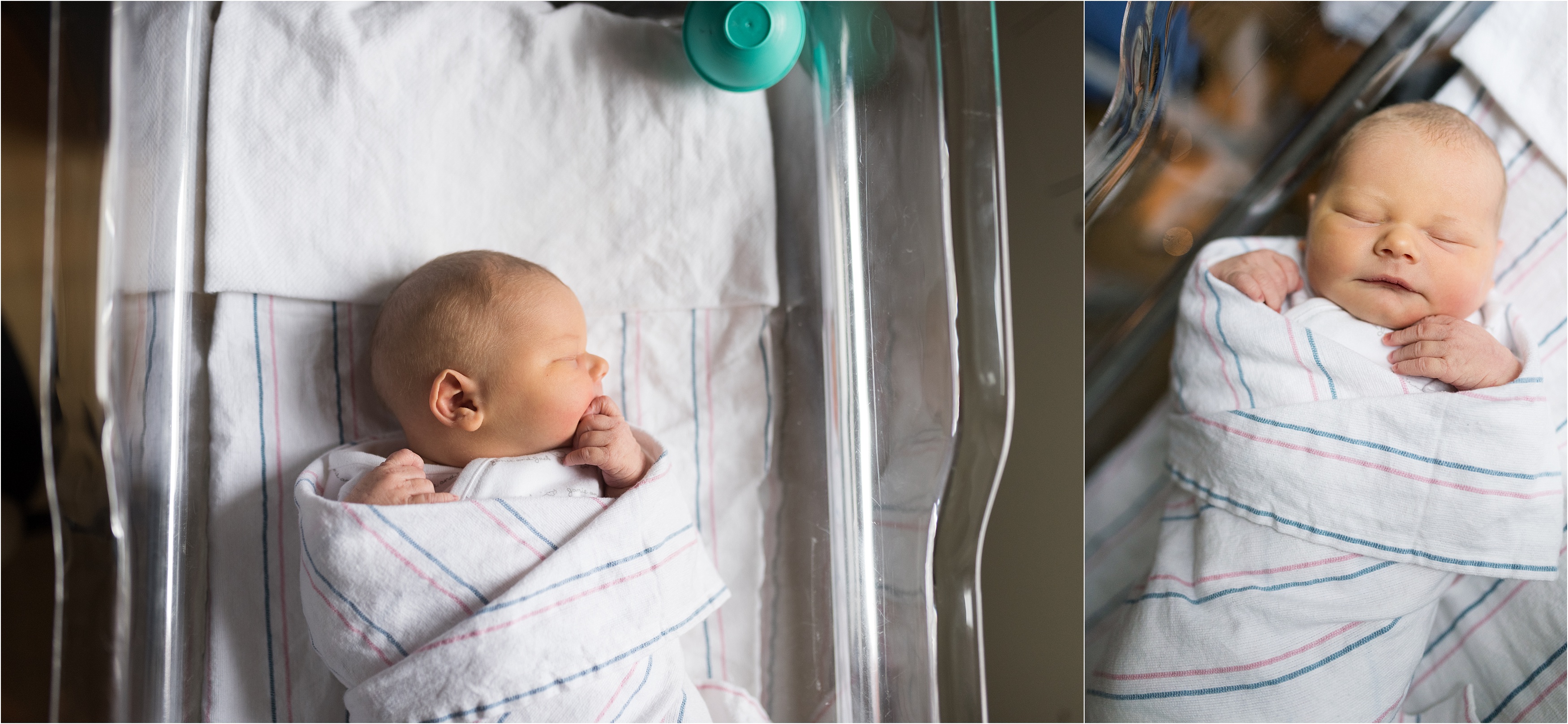 Just Born Baby | Boston Newborn Photographer - Amy Buelow Photography
