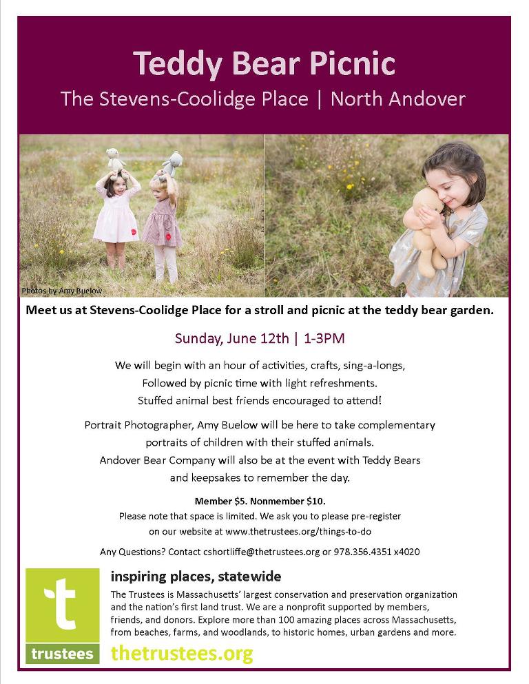 Teddy Bear Picnic Flyer