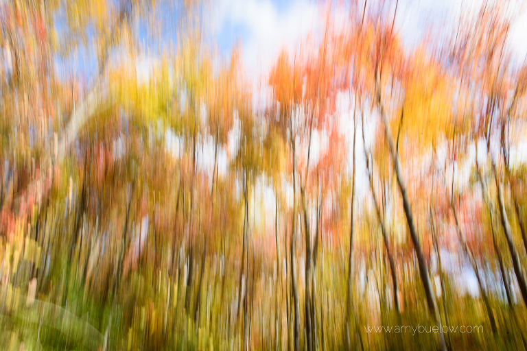 fall-family-photographer