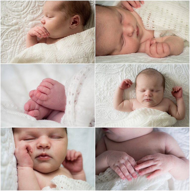 andover newborn photographer3
